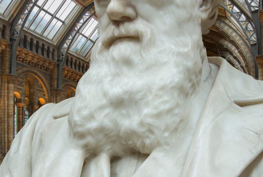 Statue de Charles Robert Darwin (1809 à 1882) au Musée d'histoire naturelle de Londres, en Angleterre.