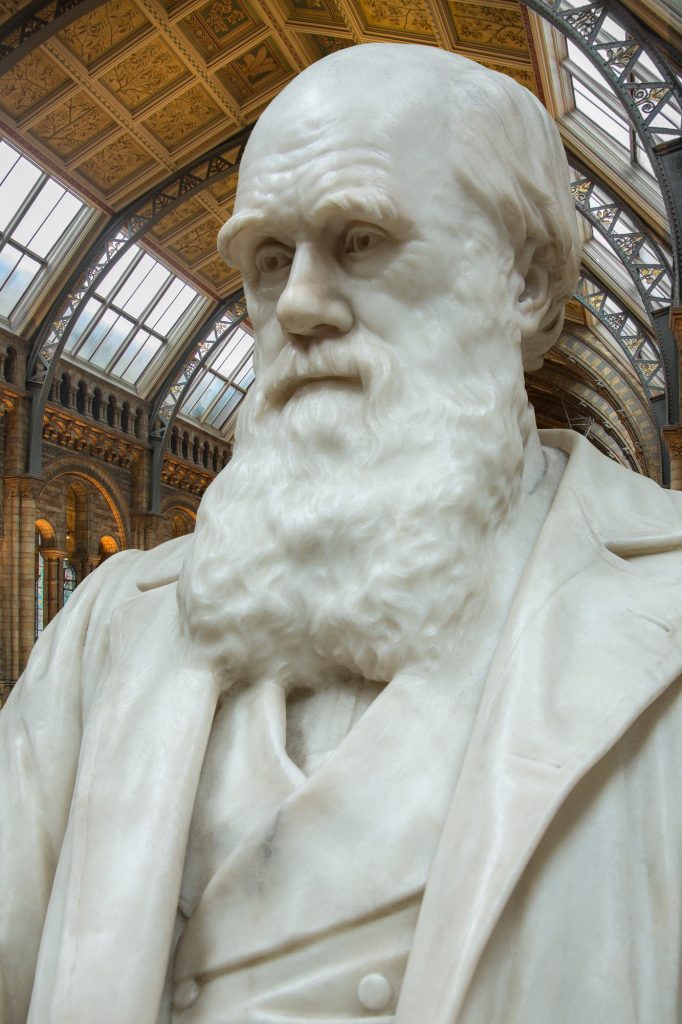 Statue de Charles Robert Darwin (1809 à 1882) au Musée d'histoire naturelle de Londres, en Angleterre.